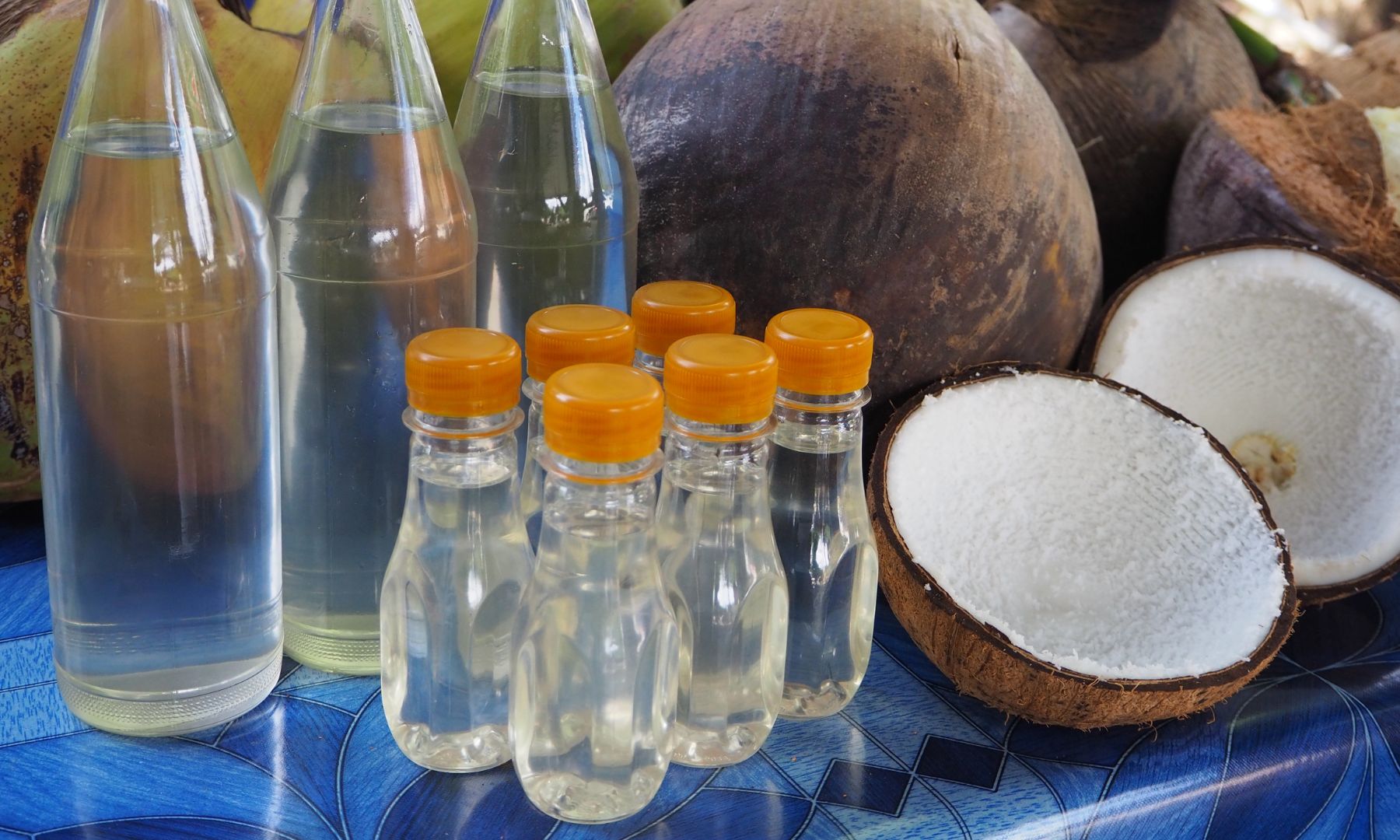 体験の最後にはココナッツオイル（30ml）をプレゼント♪